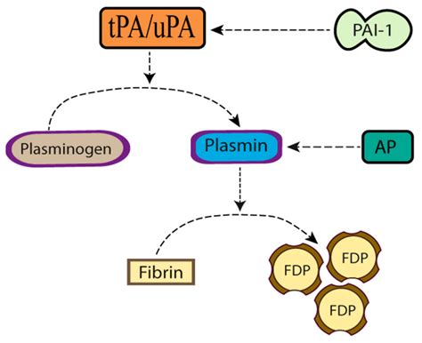 beta in r|Iba pa.